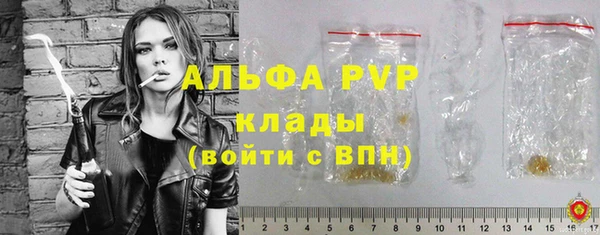 гидра Бронницы