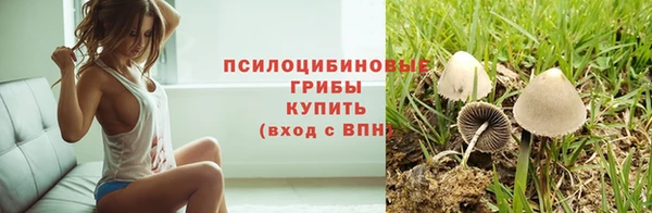 каннабис Бородино